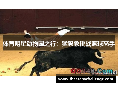 体育明星动物园之行：猛犸象挑战篮球高手